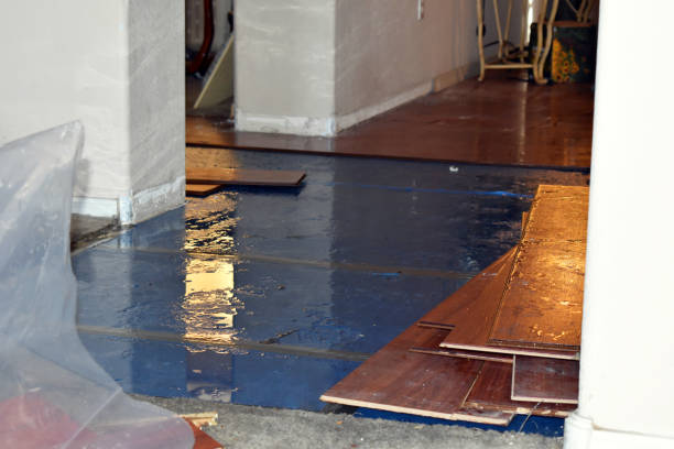 Professional Burst Pipe Cleanup technician working in Wadsworth, TX